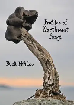 Profiles of Northwest Fungi, Paperback/Buck Mcadoo