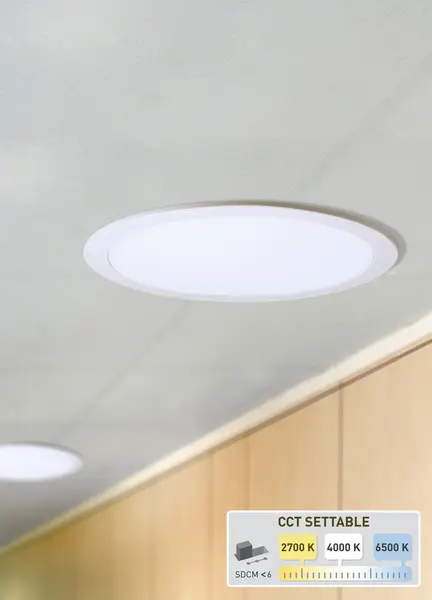 Proiector LED Downlight IP65 18W CCT, Fumagalli