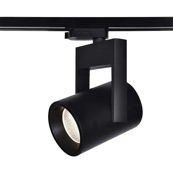 Proiector pe sina 2L RIMA 25W - Negru
