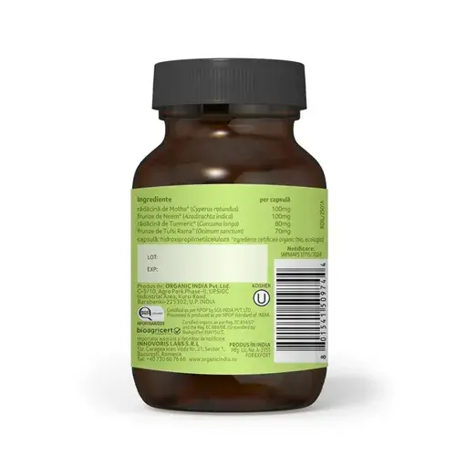Prostate Care, Sanatatea prostatei 60 cps ECO| Organic India