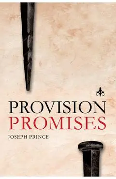 Provision Promises - Joseph Prince