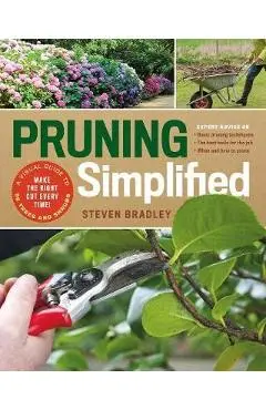 Pruning Simplified