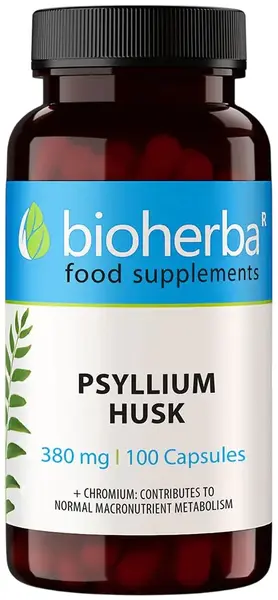 Psyllium husk, 380 mg, 100 capsule, Bioherba
