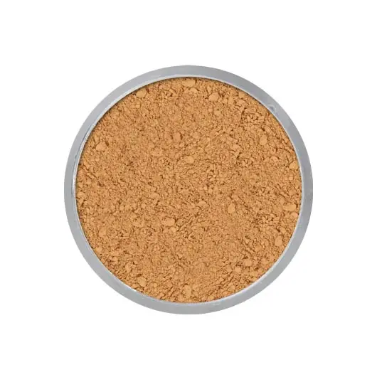 Pudra Translucida Kryolan TL5 50GR