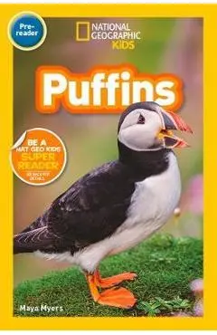 Puffins (Pre-Reader) -
