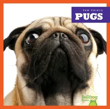 Pugs, Hardback/Kaitlyn Duling