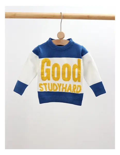 Pulover GOOD STUDYHARD alb-albastru
