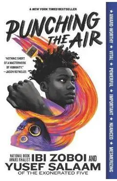 Punching the Air - Ibi Zoboi