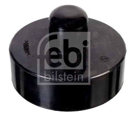 Punct de sprijin, cric (puc) - Tesla Model 3 / Model S / Model X FEBI BILSTEIN 173025