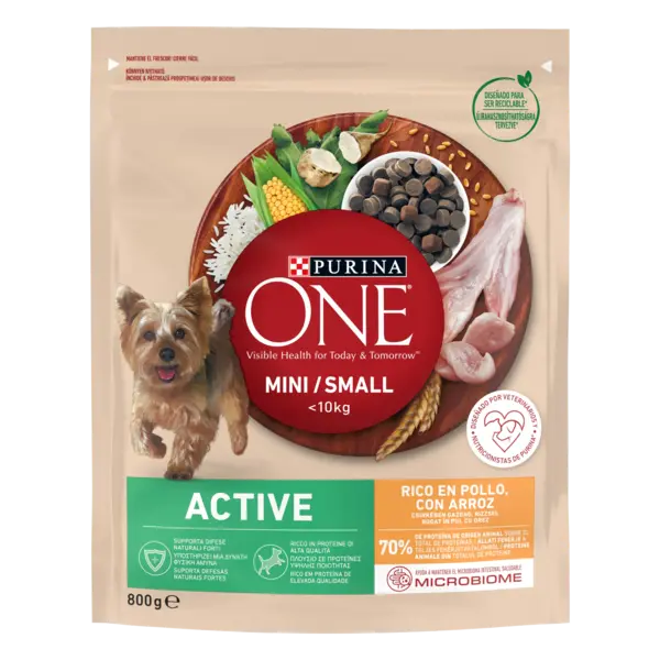 PURINA ONE MINI Active, Pui si Orez, hrana uscata pentru caini, 800 g