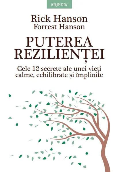 Puterea rezilientei. Cele 12 secrete ale unei vieti calme, echilibrate si implinite