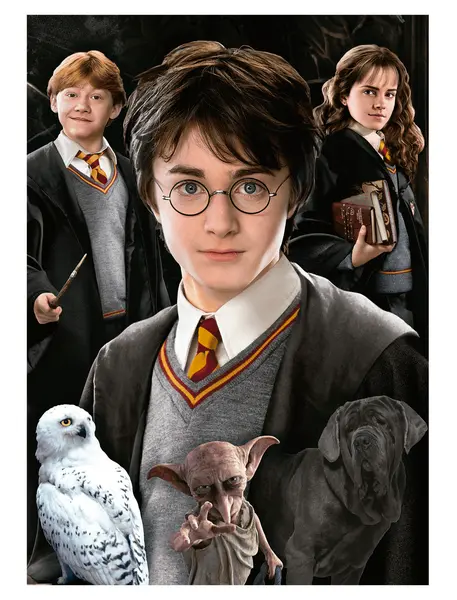 Puzzle 1000 piese - Harry Potter - Miniature - Model 1 | Educa
