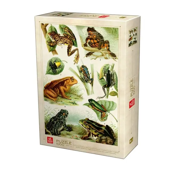Puzzle 1000 Piese pentru Adulti, Deico, Enciclopedia, Broaste