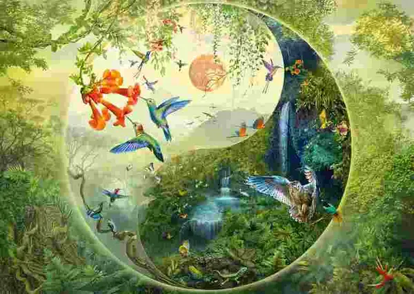 Puzzle 1000 piese - Yin & Yang - In padurea colibri | Schmidt