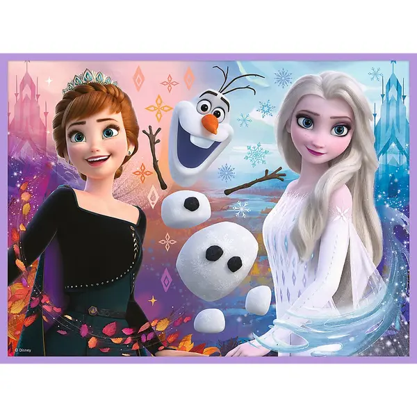 Puzzle 2 in 1 - Disney - Frozen - Printesele si taramul lor | Trefl