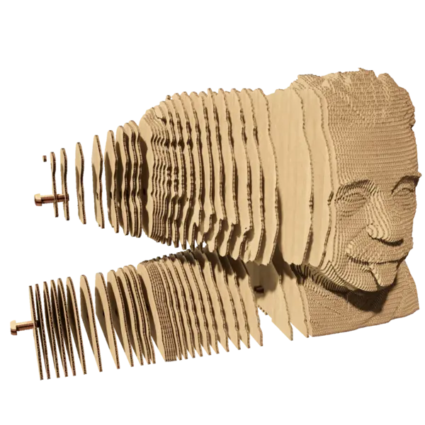Puzzle 3D - Albert Einstein | Cartonic