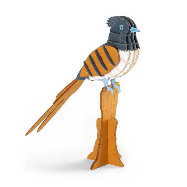 Puzzle 3D - Paradise Flycatcher | Kikkerland