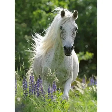 Puzzle Cal Alb, 100 Piese