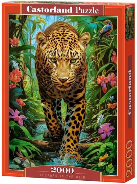 Puzzle Castorland din 2000 piese - Leopard în sălbăticie