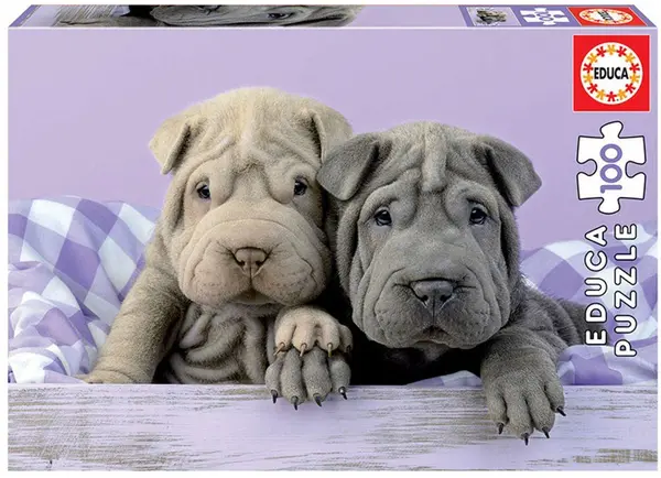 Puzzle Educa din 100 de piese - Too early to get up