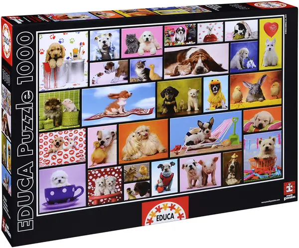 Puzzle Educa din 1000 de piese - Momente impartasite