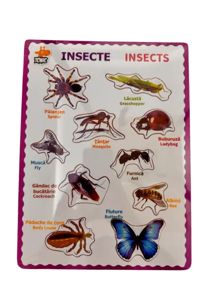 Puzzle educativ din lemn cu insecte - denumiri in romana si engleza, stil Montessori