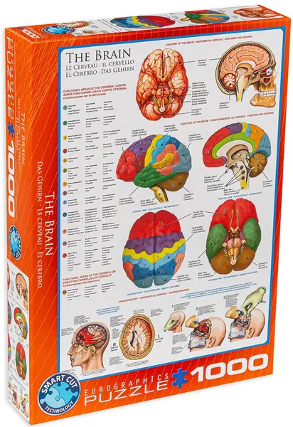Puzzle Eurographics din 1000 de piese - Corpul uman, Creier