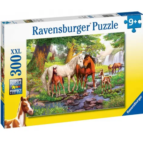 PUZZLE FAMILIE DE CAI LA RAU, 300 PIESE