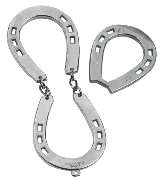 Puzzle - Huzzle Cast Horse | Hanayama