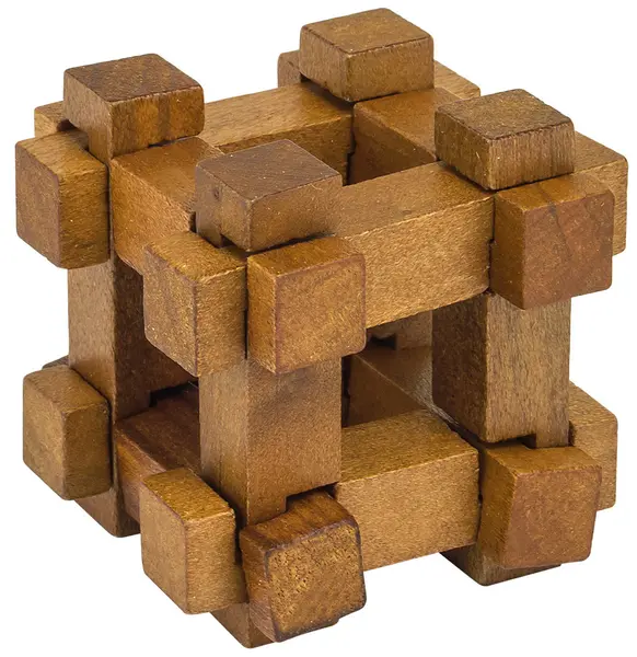 Puzzle logic Professor Puzzle – Cufarul lui Darwin