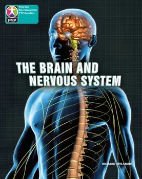 PYP L10 Brain and nervous system 6PK/Richard Spilsbury