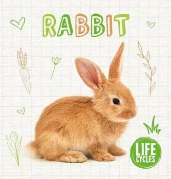 Rabbit, Hardback/Shalini Vallepur
