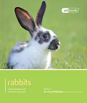 Rabbit, Paperback/Anne McBride