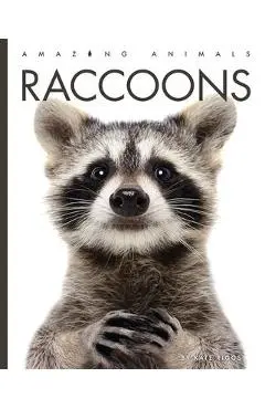Raccoons - Kate Riggs