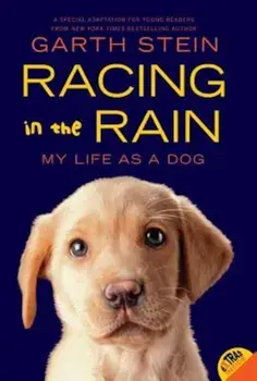 Racing in the Rain: My Life as a Dog, Paperback/Garth Stein