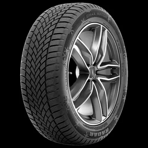 RADAR DIMAX WINTER 205/55R17 95V