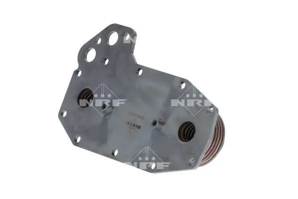 Radiator ulei (220x48x78mm, numar de nervuri: 8) potrivit MERCEDES ATEGO, ATEGO 2, CITARO (O 530), CONECTO (O 345), ECONIC, TOURINO (O 510), UNIMOG, ZETROS OM457.970-OM909.921 01.98-