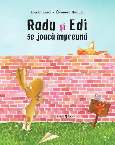 Radu si Edi se joaca impreuna