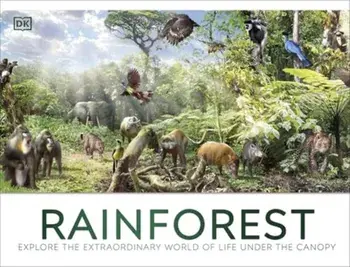 Rainforest, Hardback/DK