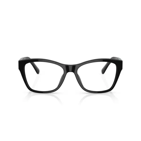 Ralph Lauren RL6230U 5001 53