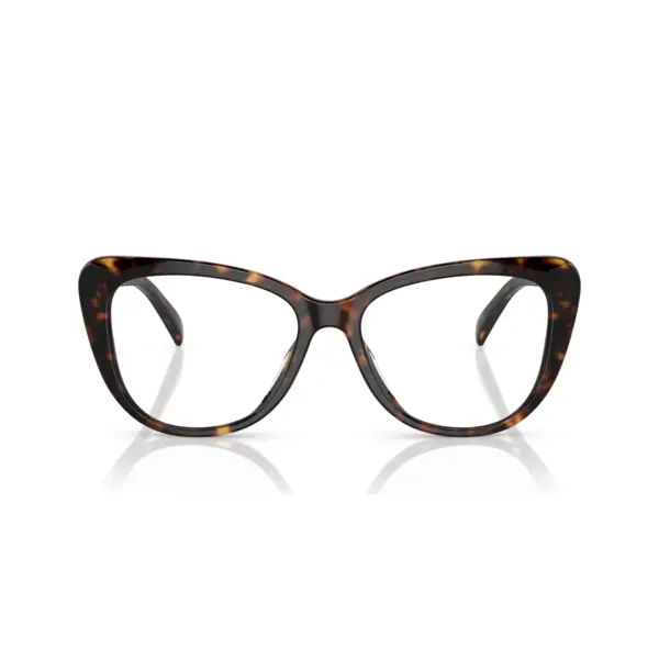 Ralph Lauren RL6232U 5003 54