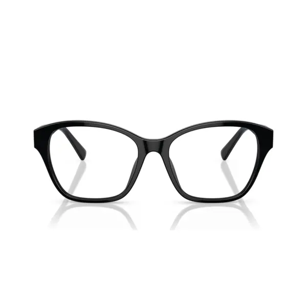 Ralph Lauren RL6236U 5001 55
