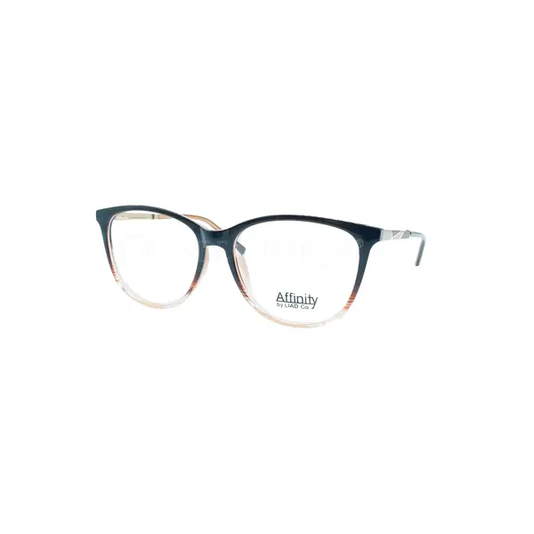 Rame de ochelari Affinty 8102 C4 - Variant 8886-1958
