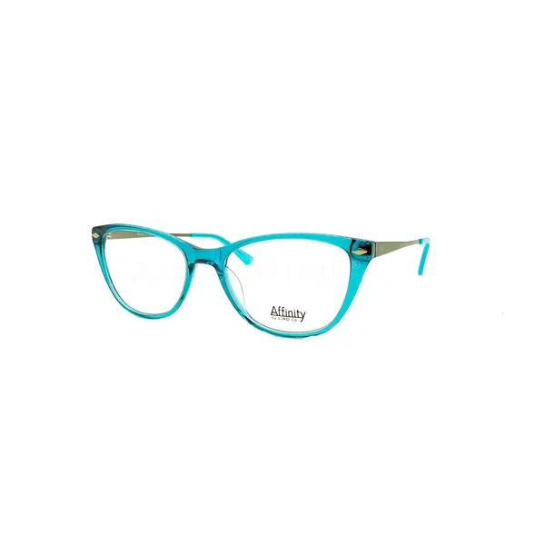 Rame de ochelari Affinty 8569 C3 - Variant 8889-1979