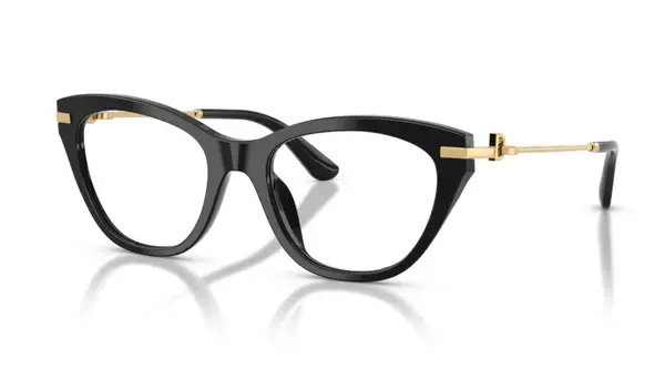 Rame de ochelari Dolce&Gabbana DG3428 501 - 51