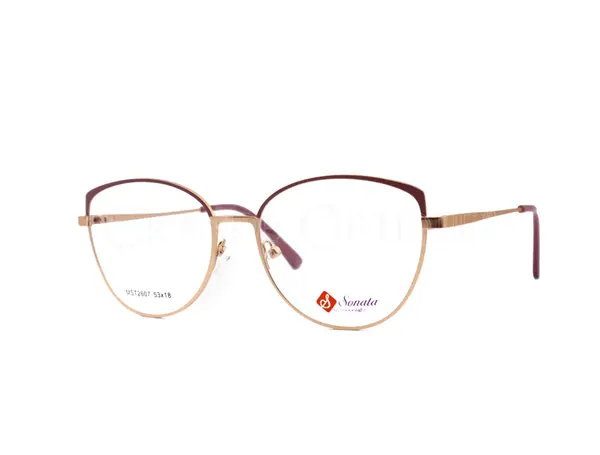 Rame de ochelari Sonata 2607 c2 - Variant 5640-1057