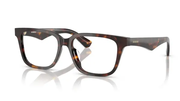 Rame ochelari Burberry BE2425D 3002 - Default Title