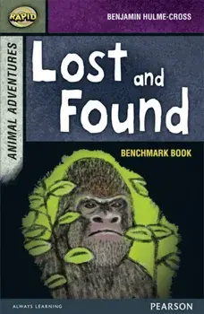 Rapid Stage 7 Assessment book: Lost and Found, Paperback/Benjamin Hulme-Cross