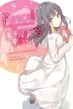 Rascal Does Not Dream of a Dreaming Girl (light novel), Paperback/Hajime Kamoshida