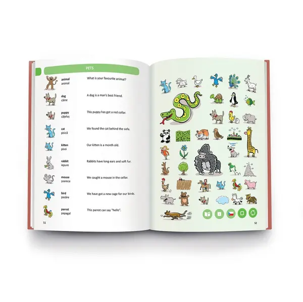 Raspundel Istetel - Dictionar interactiv Englez-Roman | Zuzana Rousova, Petra Pachlova, Alan Dimes